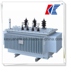 Distribution Transformer; Power Transformer Kema Certification; Power Plant; Eaf Transformer; Furnace Transformer